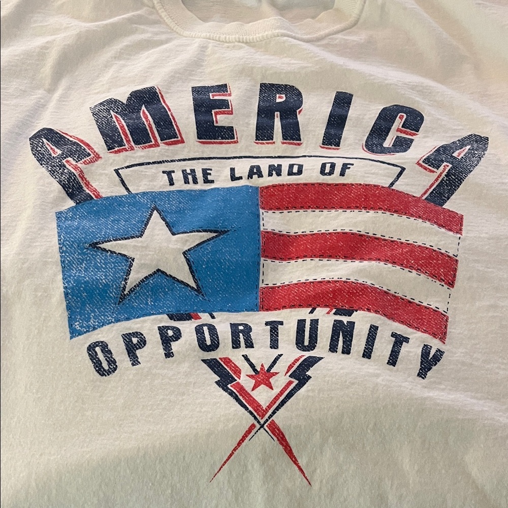 Fruit of the Loom Tee with American Flag Design